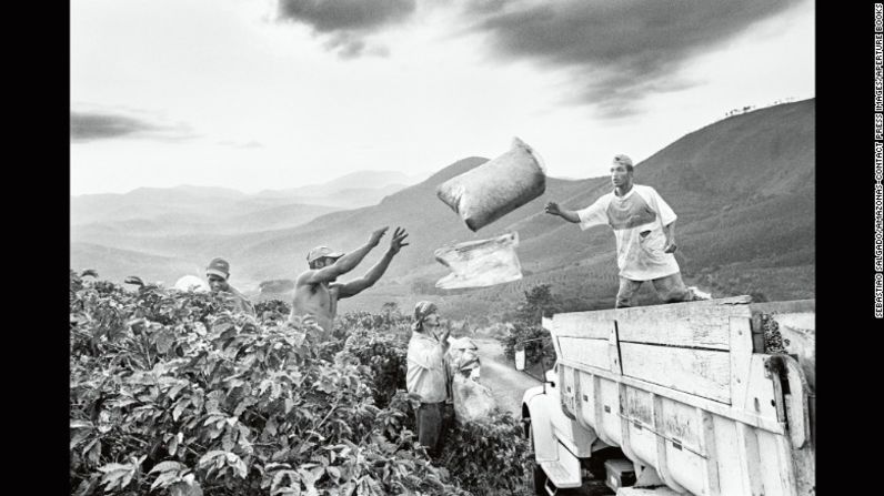 Personas recolectando café en el estado brasileño de Minas Gerais en el 2002.