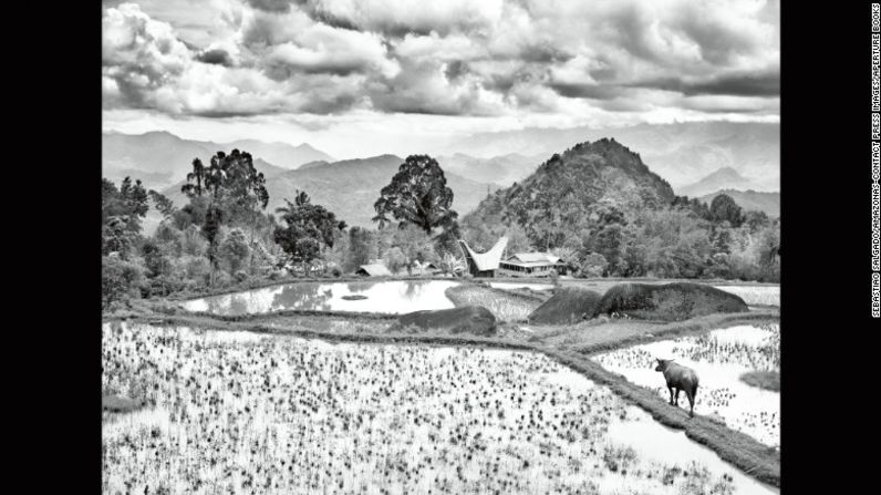 Aquí se ve un campo de café que fue fotografiado en el 2014 en los alrededores del área montañosa de Toraja de la isla indonesia de Célebes. Quizás sea algo extraño de admitir para un brasileño, pero yo nunca tomo café. Sin embargo, el mismo corre por mis venas", escribió Salgado en su libro.