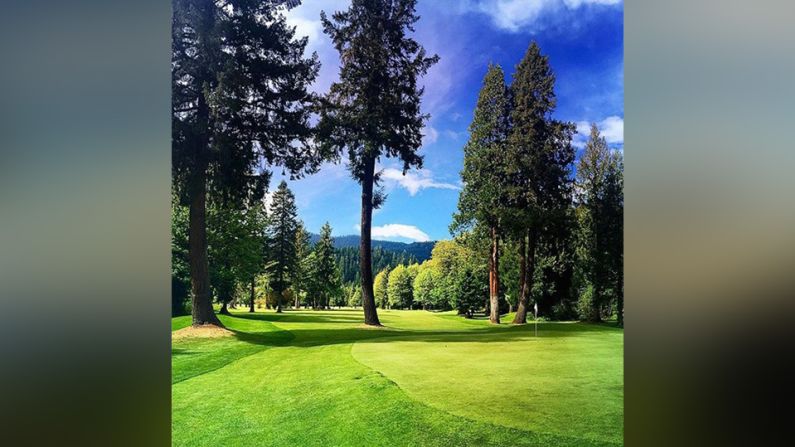 Tokatee Golf Club, Oregon, Estados Unidos – La combinación de verdes y marrones vívidos en la entrada de @c4rtp4th es sinónimo del Noroeste del Pacífico". Los cuatro imponentes pinos rechazarán cualquier basura que lances en el green. Necesitas amar un hoyo de golf que te hace pensar y esforzarte por obtener un buen puntaje", dijo.