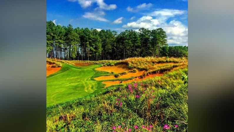 Tobacco Road Golf Club, Carolina del Norte, Estados Unidos – @realstewartkick captura un fuerte contraste entre los colores de las flores silvestres en el primer plano, con el verde y azul en el fondo, en el hoyo 18. No es una mala manera de terminar una ronda.