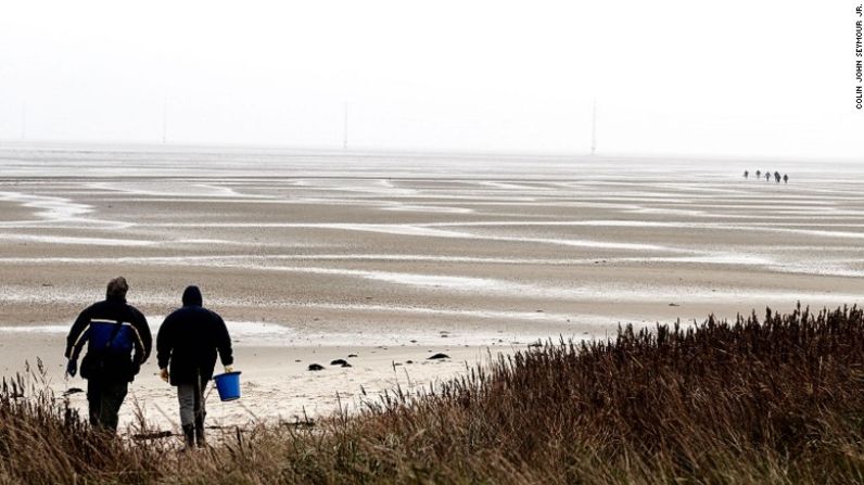 Existe un detalle – Las ostras silvestres capturadas en safaris en el mar de Frisia y en las bahías de Limfjorden son solo para el consumo privado debido a las regulaciones que limitan su venta.