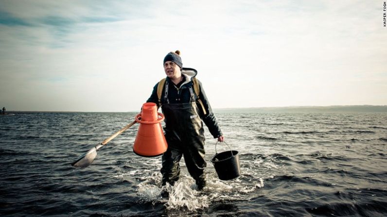 Capturadas a mano – La mayoría de los barcos de pesca que operan en la zona exportan su capturas al sur de Europa, pero los safaris de ostras en las aguas frente a la playa de Gjellerodde azotada por el viento, usan visores submarinos color naranja para localizar los mariscos.