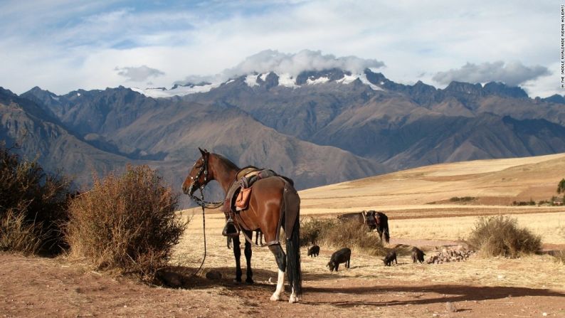 LATINOAMÉRICA|Los Andes, Perú: "Ellos tienen un paso verdaderamente suave. Montarlos es sencillamente un placer sin importar en dónde estés y además tienes la ventaja extra de estar en las montañas peruanas en el Valle Sagrado cerca de Cusco", dice Sales.