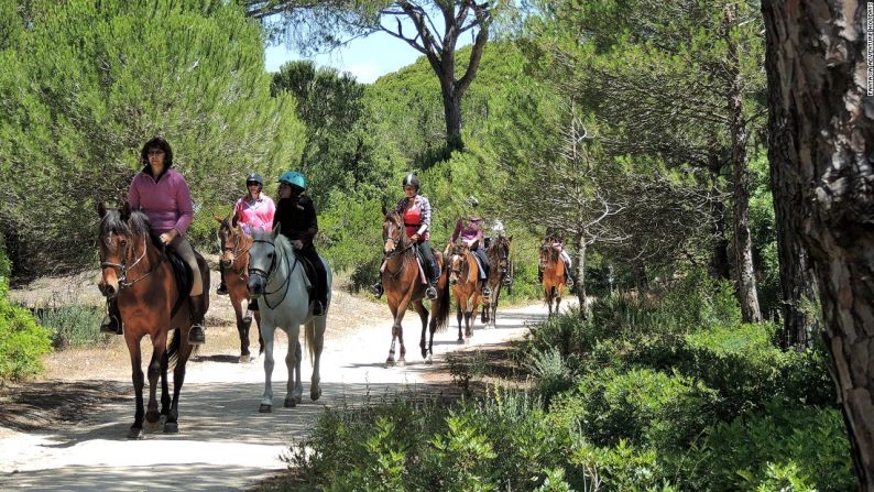 EUROPA|Cádiz, España: Además de las playas vírgenes de la Costa de la Luz, hay senderos costeros a través de bosques de pinos que te ofrecen tranquilidad y un contrapeso frente a la euforia de galopar a través de los bancos de arena y los malecones.