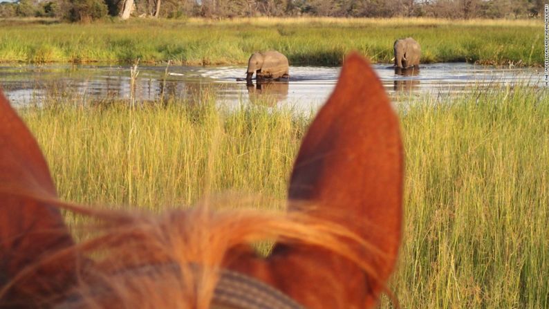 ÁFRICA|Macatoo, Botswana: Desde el punto de observación de la silla de montar, los jinetes pueden esperar ver elefantes, leones, búfalos y antílopes.