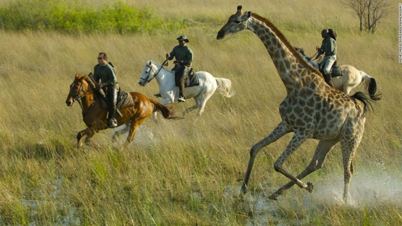 ÁFRICA|Macatoo, Botswana: Galopar a través del delta del Okavango en el norte de Botsuana ofrece a los jinetes experimentados la oportunidad de conocer de cerca los más extraordinarios animales salvajes de la naturaleza.