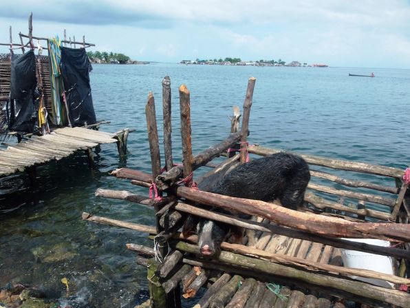 En esta orilla occidental de la isla, a los cerdos los pusieron en plataformas sobre el mar y las cabañas las construyeron sobre terrenos ganados a las aguas con rellenos de coral, roca y tierra.