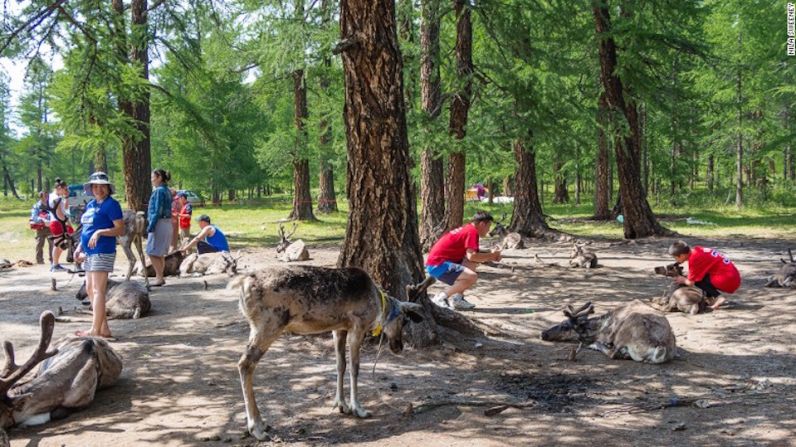 Turismo: una espada de doble filo – Los Dukha que viajan a lago Ubsugul se han enfrentado a las críticas de que la región es demasiado cálida para los renos.