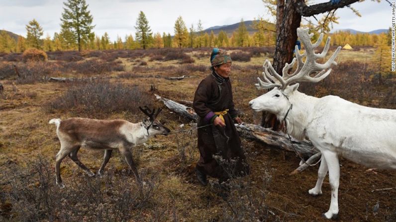 La política del gobierno – El gobierno mongol declaró el terreno de caza de los Dukha como un parque nacional protegido en 2011 por lo que restringió el área en la que la tribu puede cazar.