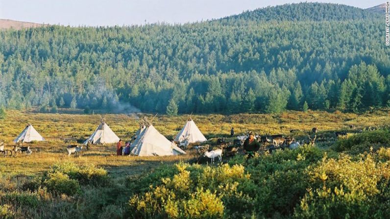 Pioneros mongoles – A los Dukha o Tsaatans se les da el crédito por ser uno de los primeros grupos de personas que domestican animales.