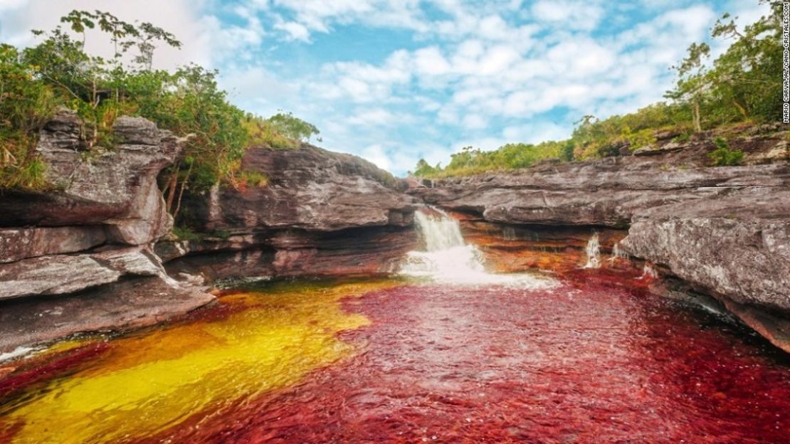 Llamado "El arco iris líquido" y "El río de cinco colores", el río Caño Cristales ofrece un impresionante espectáculo cada año entre julio y noviembre. Una erupción de coloridas algas le brinda un color predominantemente rojo sangre al río, cuando los niveles de agua son adecuados. Los guías ofrecen excursiones por la zona, que forma parte del Parque Nacional Sierra de La Macarena, en el departamento de Meta (oriente del país).