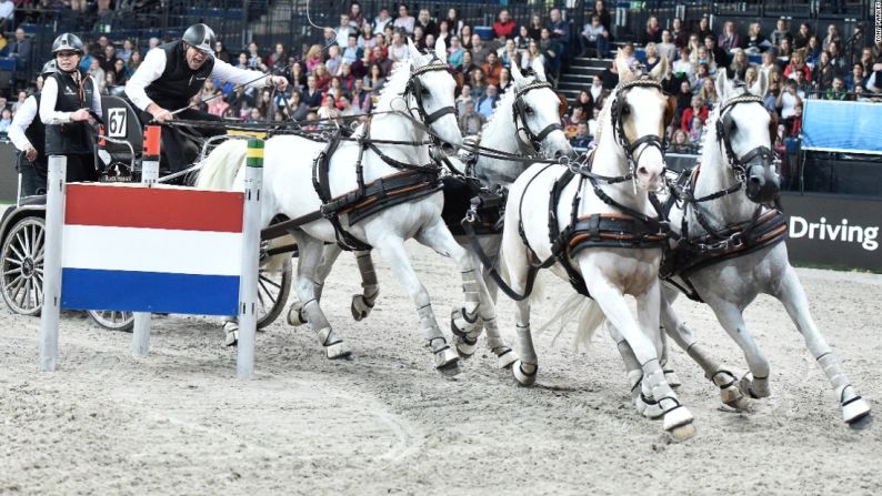 El holandés IJsbrand Chardon ha sido campeón 26 veces y ha ganado numerosos títulos tanto en doma como en conducción de carruajes.