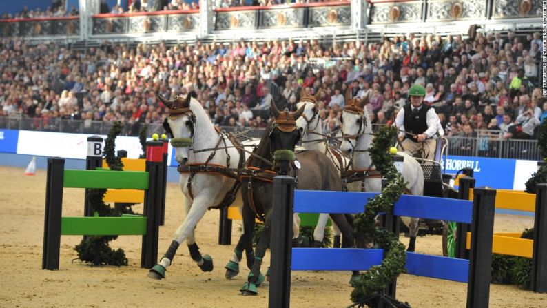 Naprous compitió en el FEI World Cup Driving que se llevó a cabo en el Olympia de Londres.