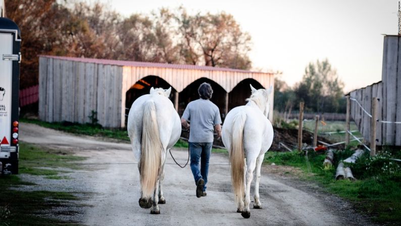 "Los movimientos más difíciles son cuando los caballos están cansados, lo cual es poco común, y también cuando los caballos están emocionados", explica. "Mi papel es ser el maestro en medio, y usarlos un poco más, un poco menos, dependiendo del estado de ánimo del caballo".