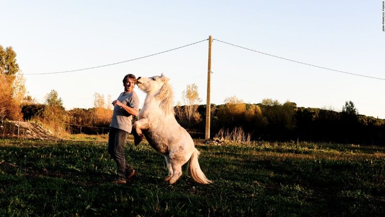 Actualmente tiene alrededor de 20 caballos, entre ellos este pony miniatura Shetland.