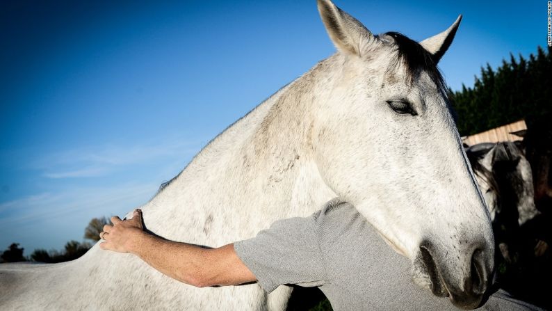 "Llamar a un caballo de un campo es bastante difícil, pero él puede simplemente voltearse, mover su mano, y vienen corriendo hacia él", explica Peck.