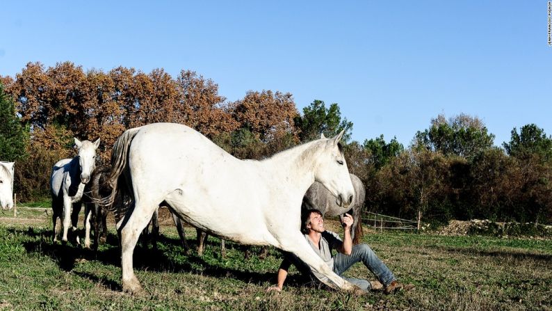 "Es muy, muy difícil lograr que los caballos hagan lo que él hace sin tenerlos con riendas", dice Jo Peck, quien está a cargo del área de mercadeo y comunicaciones para el evento anual en Olympia.