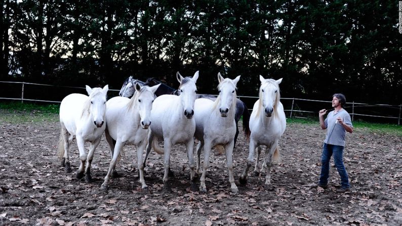 Pignon empezó a entrenar caballos a una edad temprana. Cuando tenía 11 años de edad, le dieron su primer caballo, una potranca Camargue llamada Gazelle.