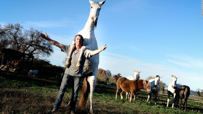 Pignon disfruta de una relación especial con los caballos, y los entrena para que hagan increíbles proezas en su granja en Calvission, al sur de Francia.