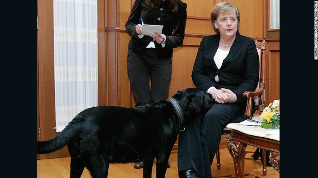 Merkel, está claramente incómoda mientras Koni, el perro del presidente Putin, se le acerca en una reunión en Sochi, en 2007.