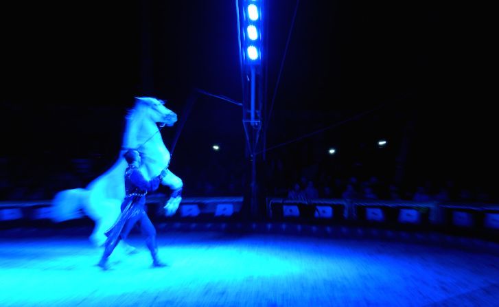 Un entrenador de caballos muestra su show a los invitados especiales del papa Francisco al circo.