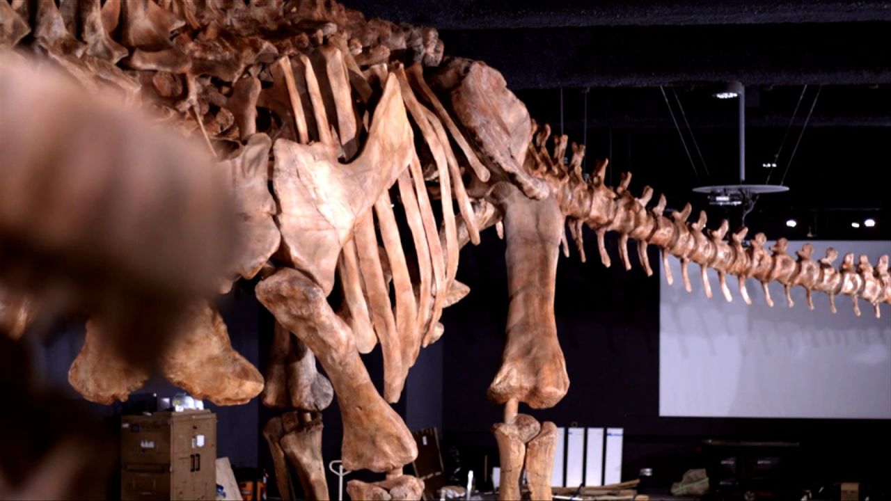 American Museum of Natural History opens the exhibition of the largest Dinosaur ever found. The Titanosaurius was discover in Patagonia , Argentina in 2014