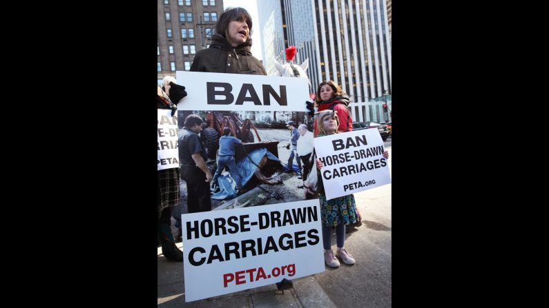 Chrissie Hynde, a la izquierda, quien cantó con la banda de rock/new wave, los Pretenders, lidera una protesta PETA cerca del Central Park en 2008.