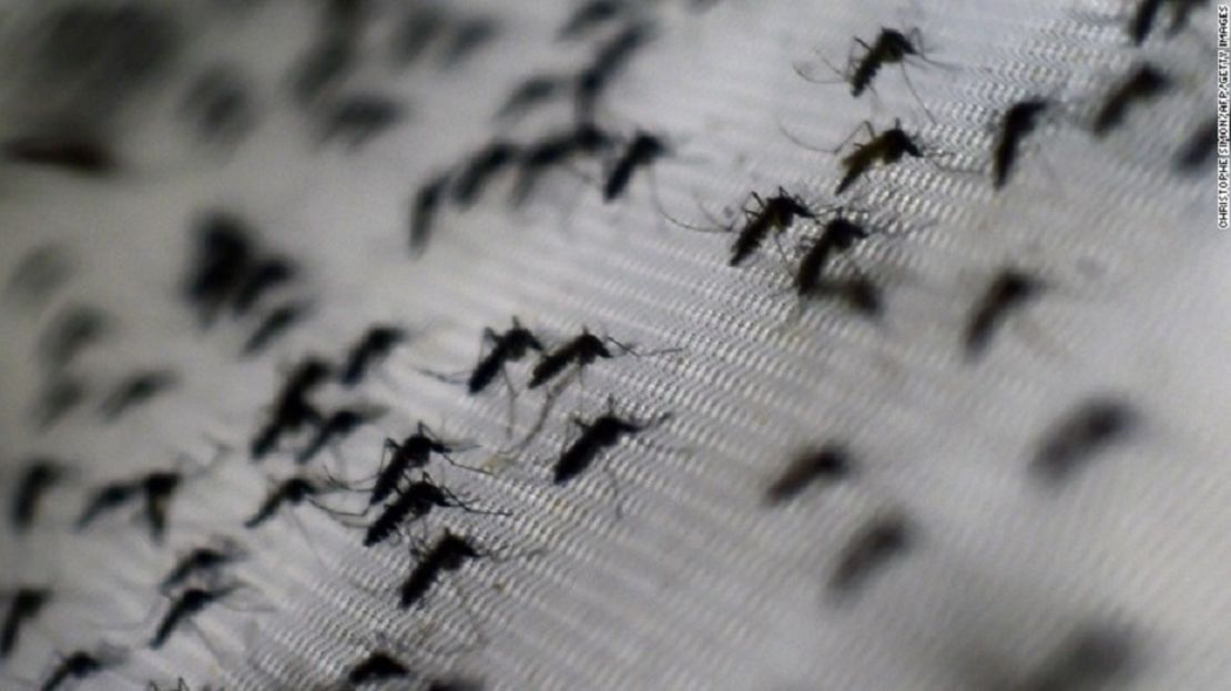 Brasil es uno de los países en los que más casos de zika se han registrado.