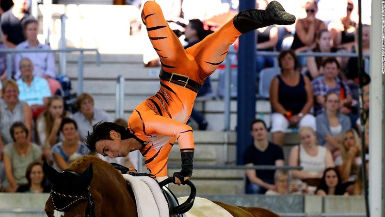 El alemán obtuvo el segundo lugar después de su hermano Viktor en el estilo libre de volteo masculino en el FEI European Equestrian Championship de 2015.