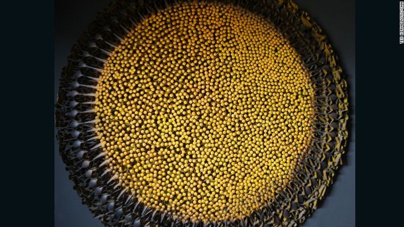 "Sunflower", una pieza del escultor africano Olu Amoda, fue coganadora del máximo premio "Grand prix Léopold Sédar Senghor" en el Bienal de Dakar del año pasado.