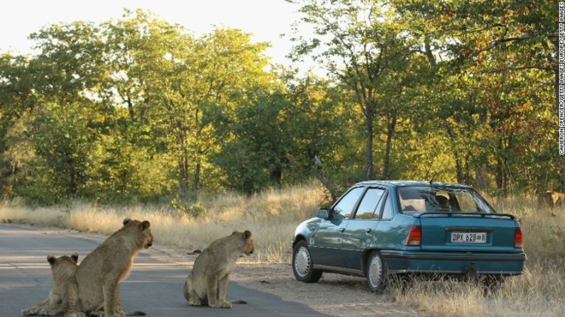 Con costos relativamente bajos y una base turística existente, los expertos sugieren que Mauricio podría imitar al rival de la región, Sudáfrica, al ofrecer 'safari y cirugía'... procedimientos de belleza ocasionales, complementados con experiencias turísticas convencionales.