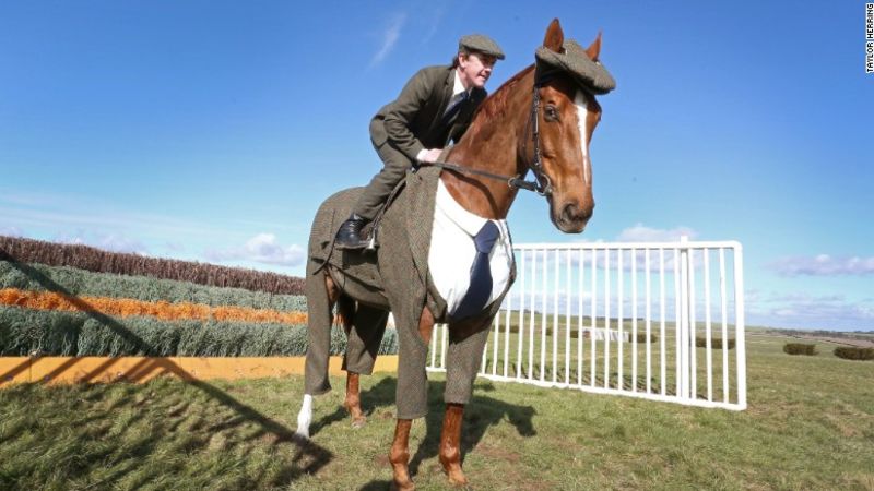 Cheltenham Festival 2016: Caballo de carreras luce un traje de tres piezas y boina de tweed | CNN
