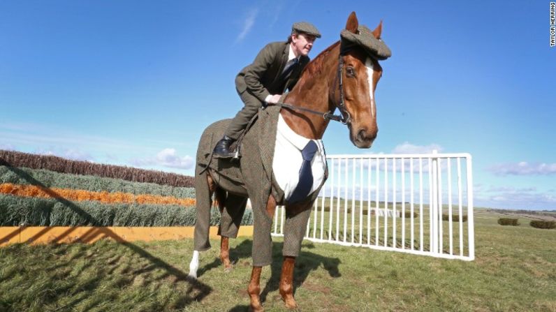 Antes del festival de Cheltenham de esta semana, el jinete 20 veces campeón, Tony McCoy, dio a conocer un "corcel de tweed".