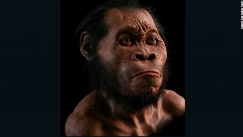 Esta reconstrucción del Homo naledi realizada por el paleo-artista John Anthony Gurche le tomó 700 horas terminarla y está hecha de silicona con ojos de acrílico. Cada glándula y el músculo está elaborado cuidadosamente.