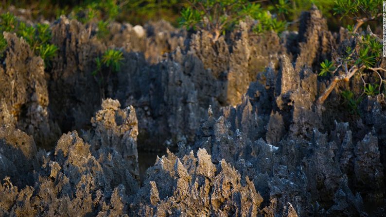 Hell, Islas Gran Caimán — Las rocas negras escaparadas de las islas Gran Caimán llamadas correctamente ‘Hell’ —infierno, en inglés— son el producto de una inusual interacción entre la roca caliza y un tipo de alga.