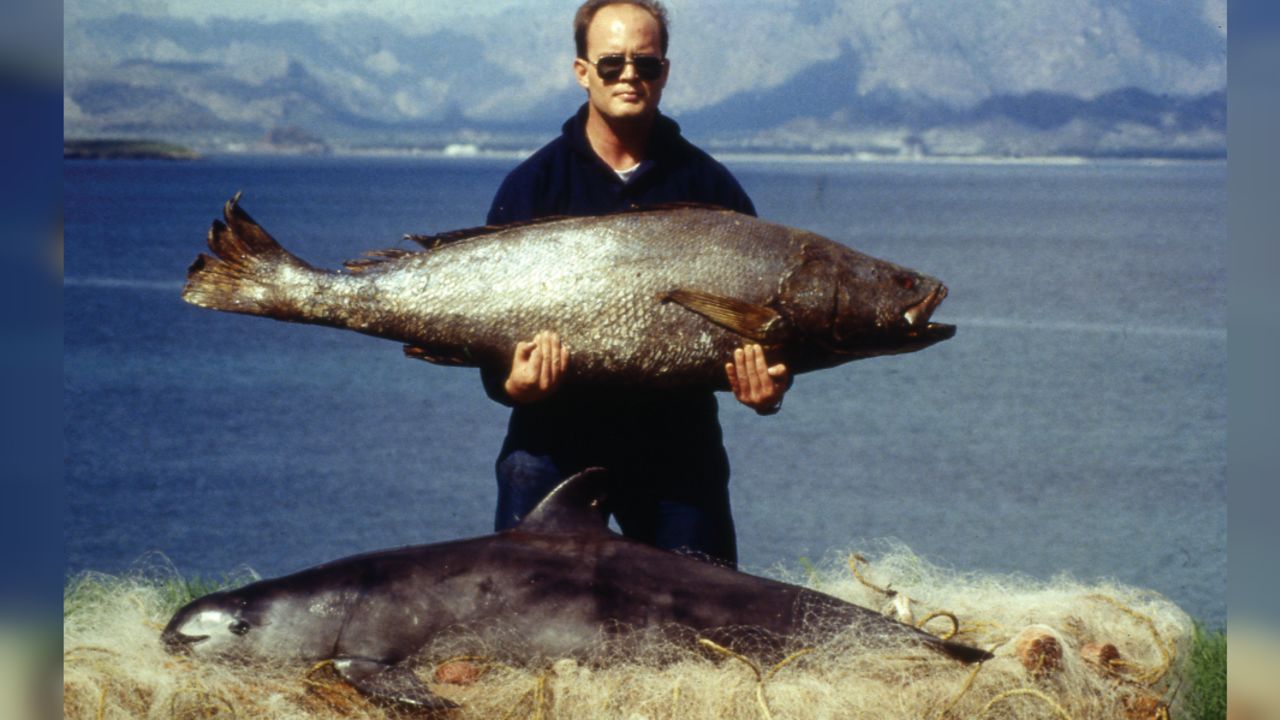 Imagen de 1992 de un pescador sosteniendo un totoaba, también en riesgo de extinción. Sobre la paja se ve una vaquita muerta.