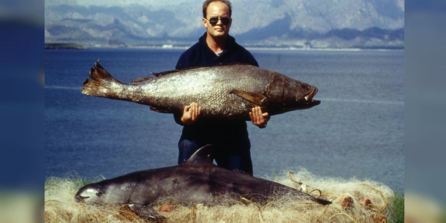 Imagen de 1992 de un pescador sosteniendo un totoaba, también en riesgo de extinción. Sobre la paja se ve una vaquita muerta.