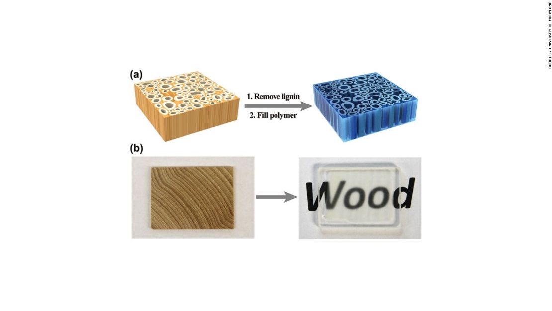 Después que se elimina el color, se pueden inyectar los polímeros o resinas epoxídicas para fortalecer la madera. El resultado es una madera más fuerte y transparente.