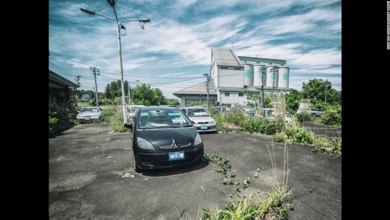 Estos carros en venta, y que alguna vez fueron nuevos, ahora están cubiertos de plantas.