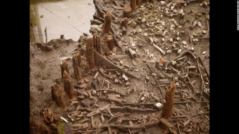 Una excavación arqueológica en el Cambridgeshire Fens en Inglaterra descubrió un asentamiento prehistórico de la Edad de Bronce, hace unos 3.000 años. El lugar se llama ‘Must Farm’. En esta imagen se ven piedras en el área occidental de la excavación agrupadas alrededor de una cerca. Es una zona densa en hallazgos arqueológicos en la que se han encontrado huesos de animales, restos de madera y fragmentos de cerámica.