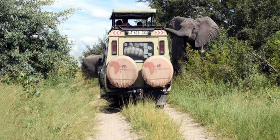 Namibia Experience — Namibia Experience ofrece excursiones que permiten a los visitantes levantarse cerca a los elefantes africanos.