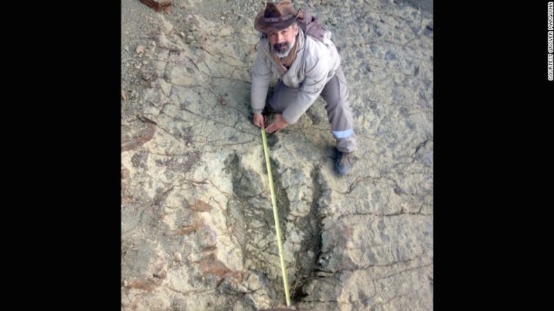 Sebastián Apesteguia mide la gran huella de dinosaurio que un guía de turistas halló cerca de Sucre, en Bolivia.