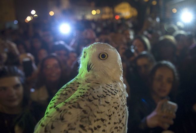 Cientos de personas esperan a las afueras de luna librería en Oporto, Portugal, después del lanzamiento mundial del libro.