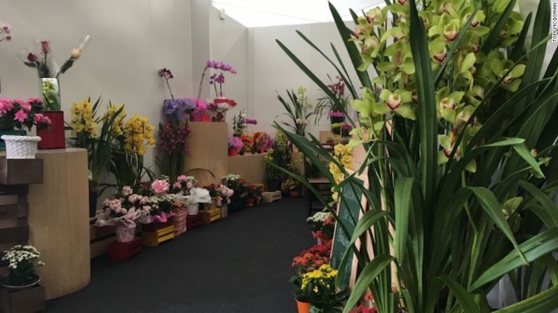 La ciudad es apta para todas las necesidades de los atletas e incluso tienen su propia floristería.