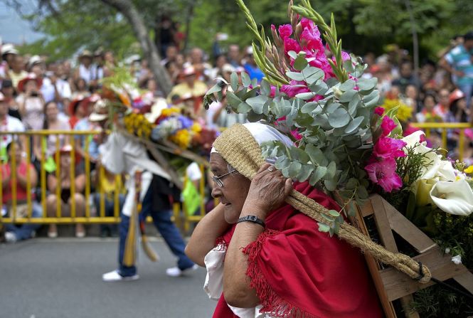 En esta imagen, campesinos de la región desfilan con sus pesadas silletas cuidadosamente elaboradas para este evento. El culto a las flores que se hace en este evento es un homenaje a la mujer, a la fertilidad y a la vida.