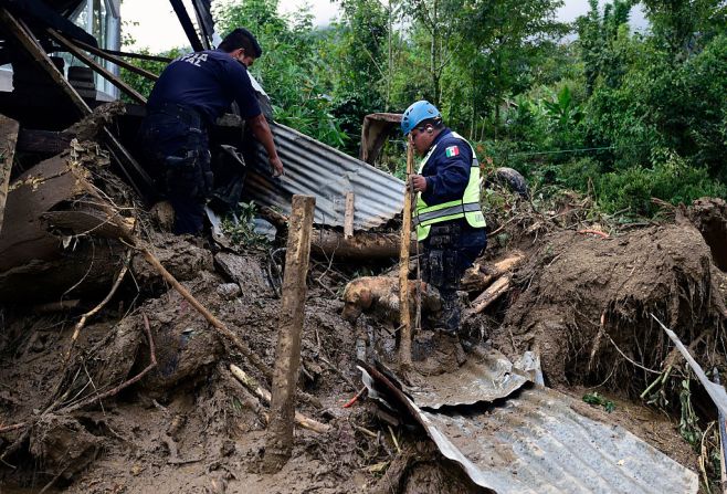 Un policía federal rescatista y su pero buscan cuerpos sepultados en Xaltepec, Puebla, tras la devastación que dejó Earl.