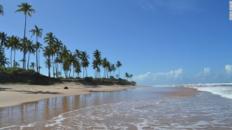 Bahía, Brasil — Esta ciudad tiene cerca de 1 kilómetro de playas de arena blanca adornadas con hermosas palmeras.