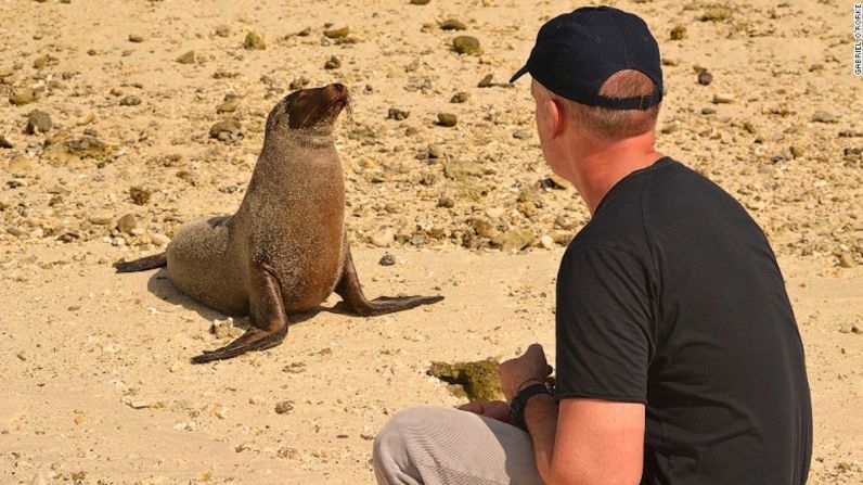 Galapagos, Ecuador — Un destino impresionante para cualquier amante de los animales. El archipiélago de Galápagos rodea a los visitantes con una variedad de animales tanto fuera como dentro de las playas.