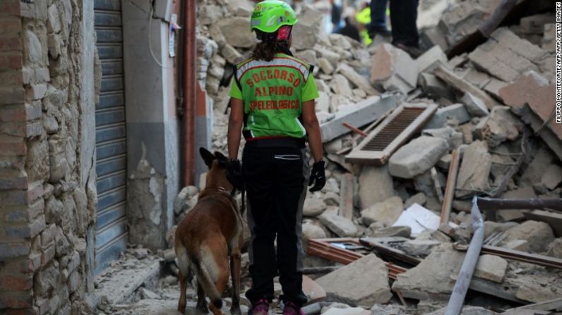 Una rescatista con un perro busca víctimas entre los escombros.