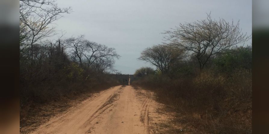 Los implacables rayos del sol parecen haber paralizado la vida en esta región del país, donde la sequía no da tregua y castiga duramente al sector ganadero.